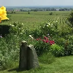 Traumblick Rebenmeer Gleisweiler