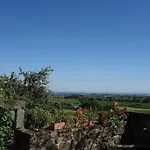 Traumblick Rebenmeer * Gleisweiler