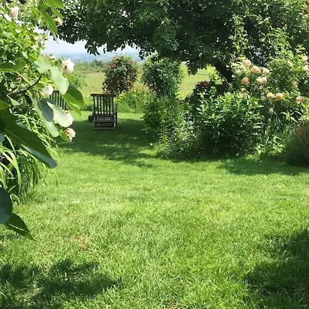 Lejlighed Traumblick Rebenmeer Gleisweiler