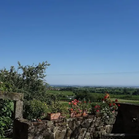 Traumblick Rebenmeer * Gleisweiler