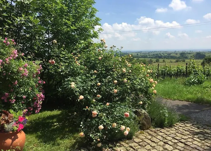 アパート Traumblick Rebenmeer *