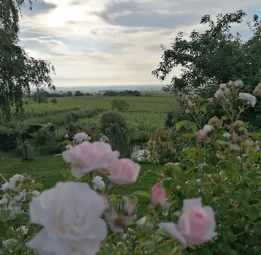 Traumblick Rebenmeer アパート