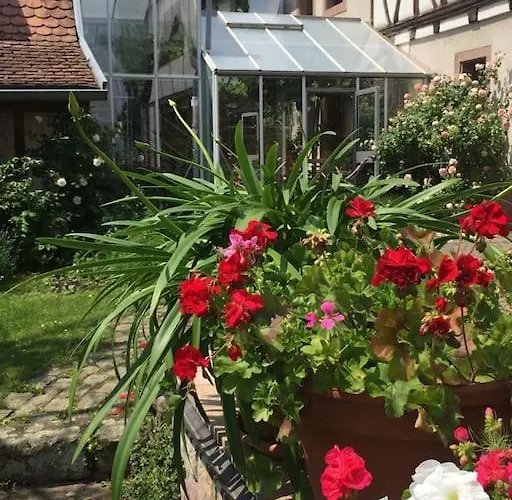 アパート Traumblick Rebenmeer Gleisweiler