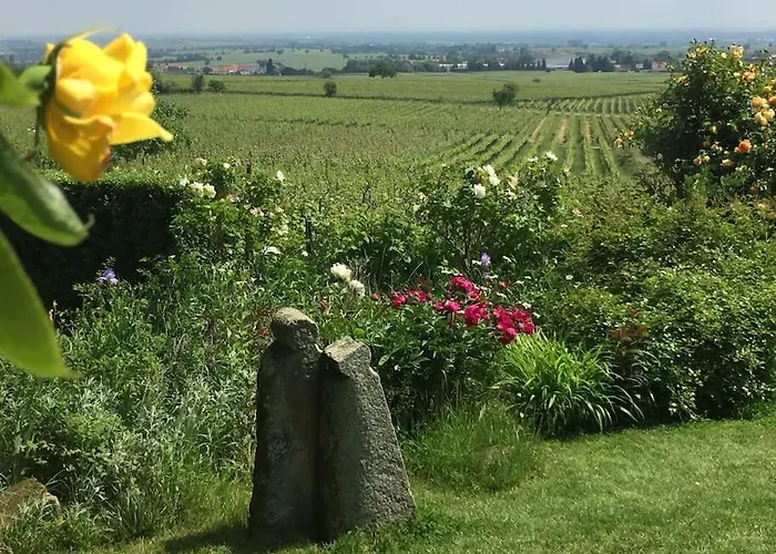 Traumblick Rebenmeer Gleisweiler
