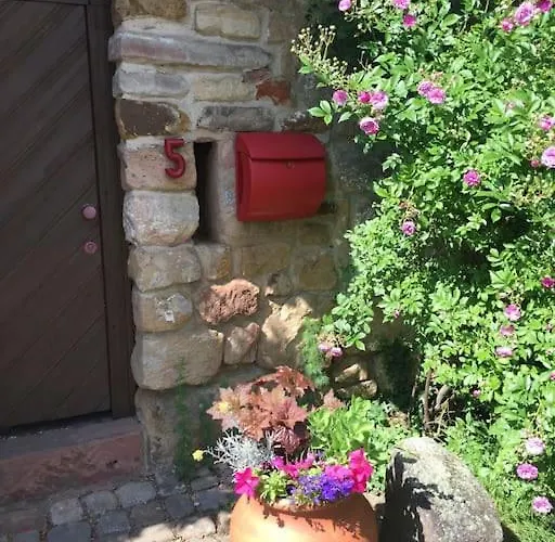 Traumblick Rebenmeer アパート