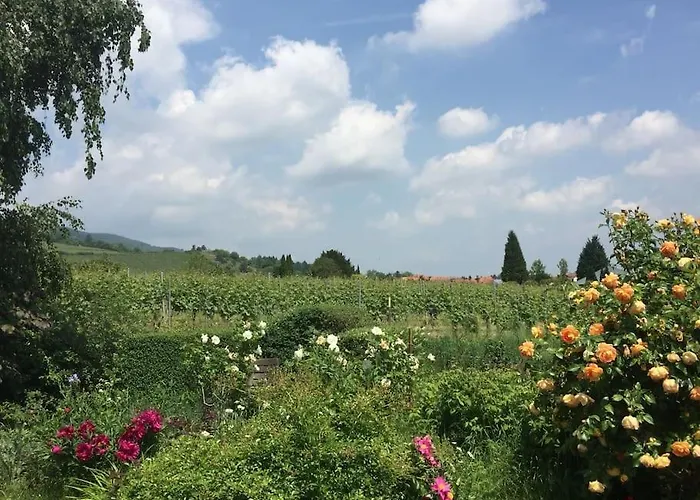 アパート Traumblick Rebenmeer