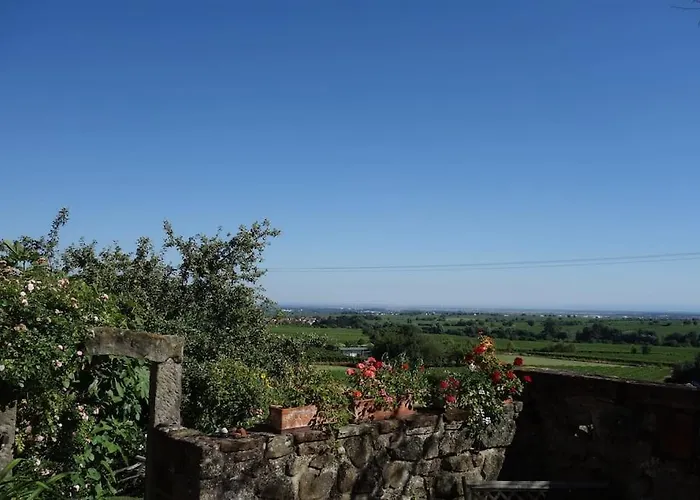 Traumblick Rebenmeer * Gleisweiler